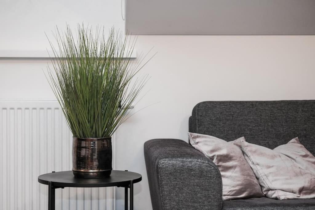 #Stayhere - Spacious Luxury Town Hall 3Bdr Apartment Wilno Zewnętrze zdjęcie